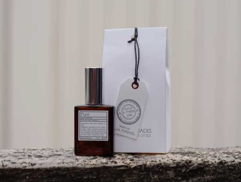 為什麼木質香氣會讓人安心？深度解析嗅覺生理學與島嶼氣味美學